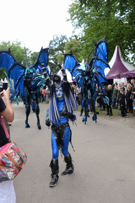 ../Images/Castlefest 2017 zaterdag 073.jpg